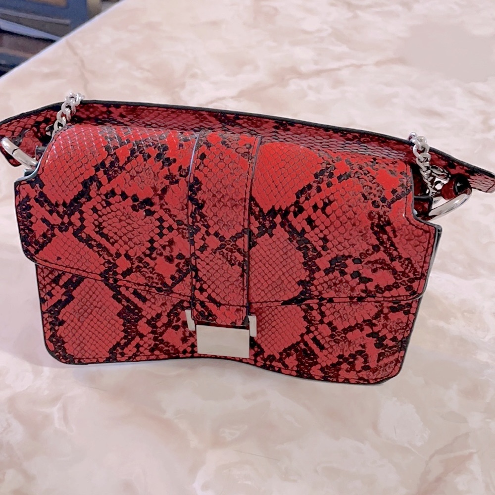Zara purse